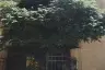 Apartment -101